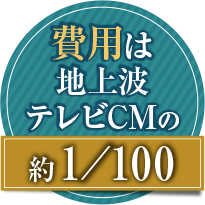 費用は地上波CMの約/1/100