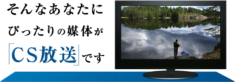 そんなあなたにぴったりの媒体が「CS放送」です