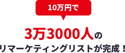 10万円で3万3000人のリマーケティングリストが完成