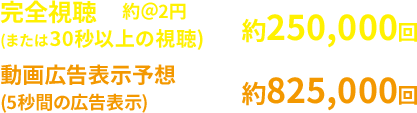 完全視聴  約250,000回 動画広告表示予想 約825,000回